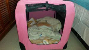 love crate