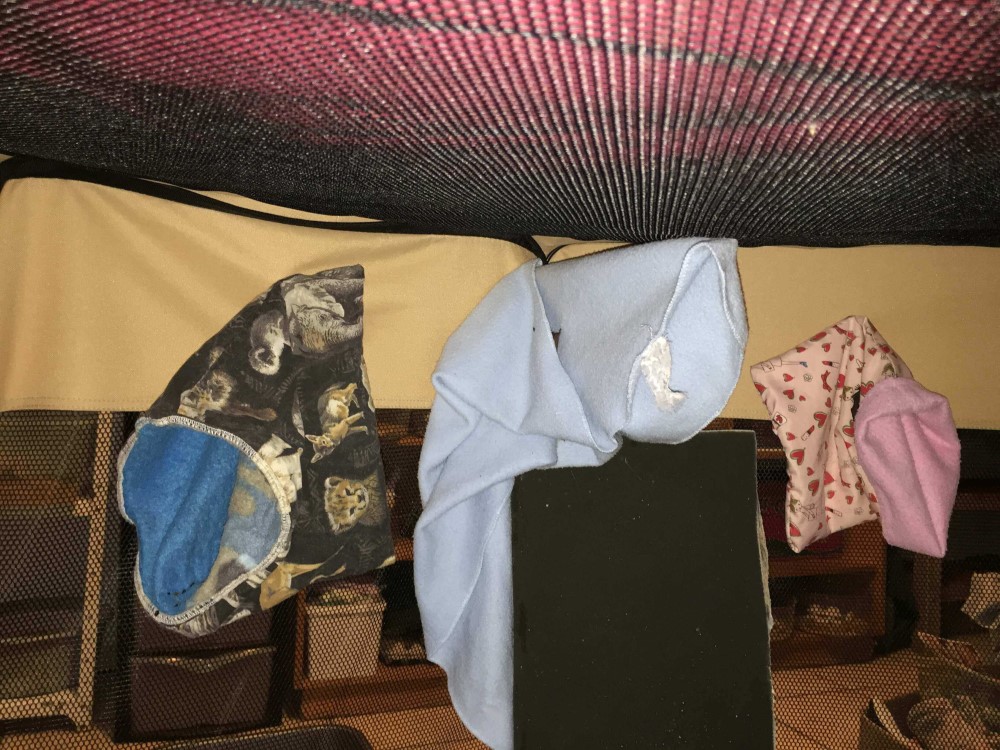 bat playpen inside