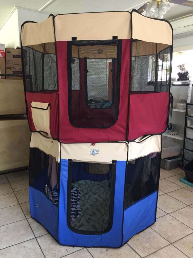 bat playpen stacked