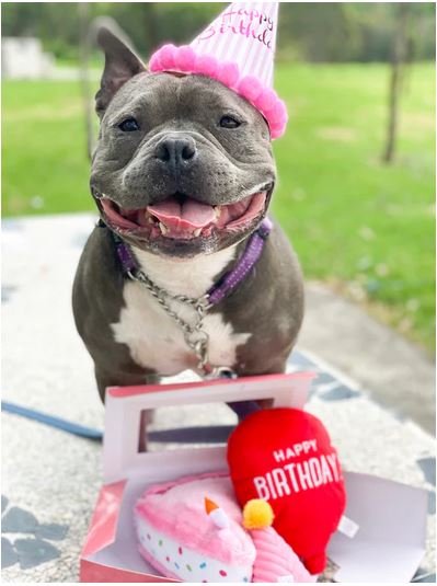 birthday box pink