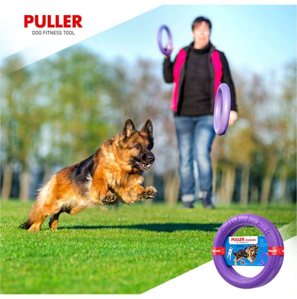 puller intro